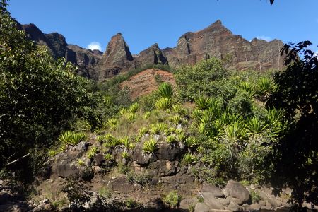 Kaňon Waimea